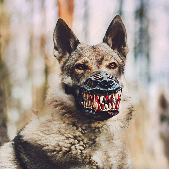 zombie dog muzzle