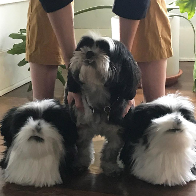 dog clone slippers