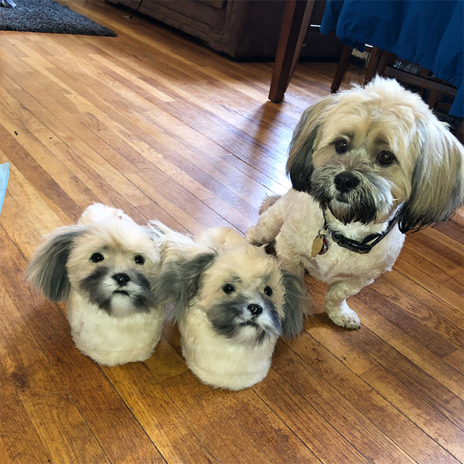 slippers with dogs on them