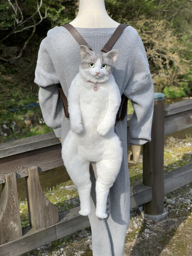 your cat backpack harness