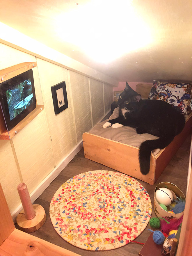 This Guy Built A Mini Bedroom For His Cat