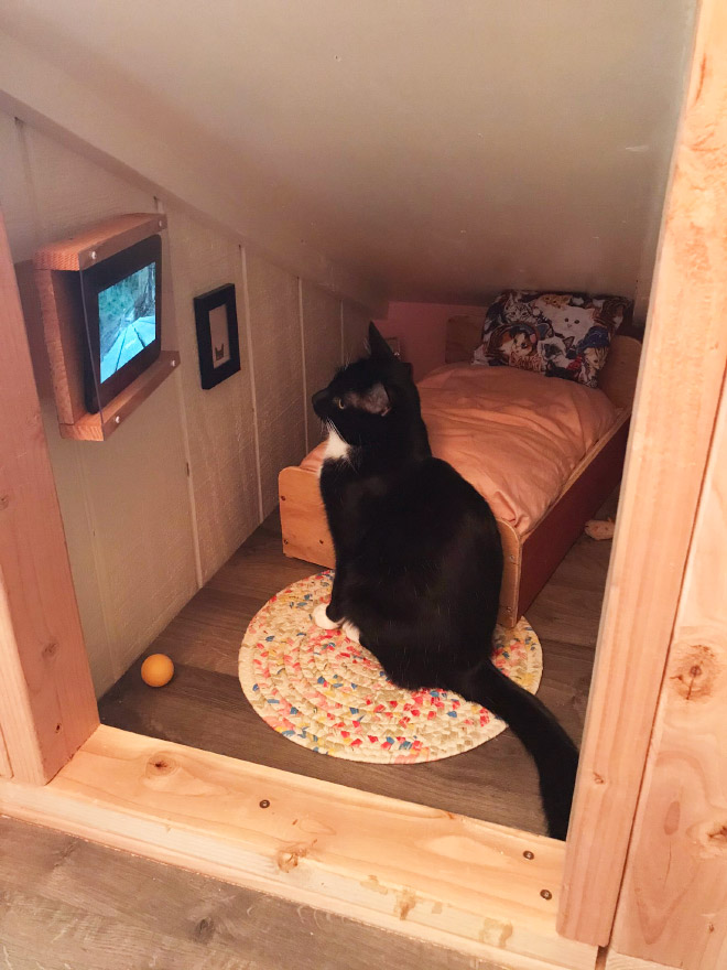 This Guy Built a Mini-Bedroom For His Cat