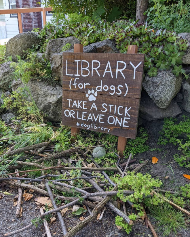 People Are Building Dog Libraries, And It’s Adorable