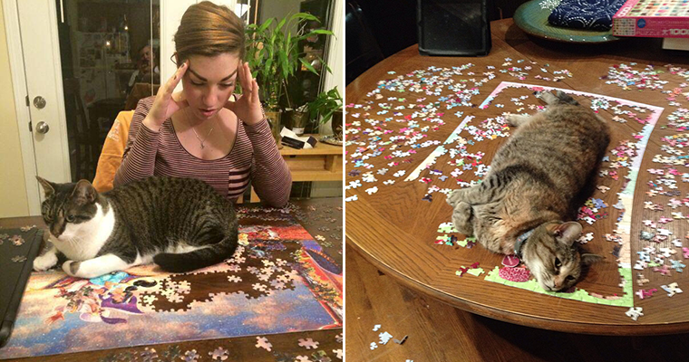 pizza cat puzzle